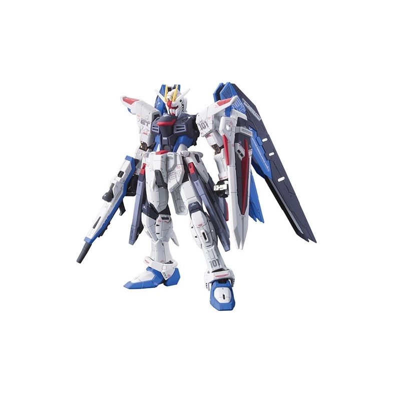 Bandai Gundam Rg - 반다이 모빌 슈트 건담 SEED RG